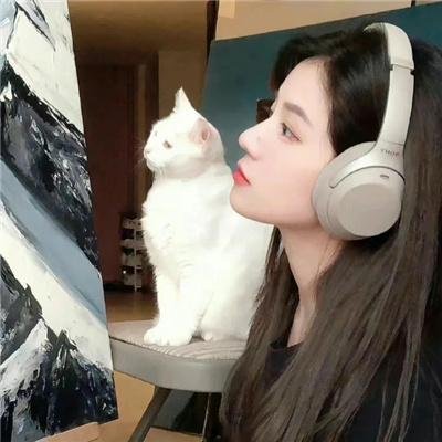 骗子的故事